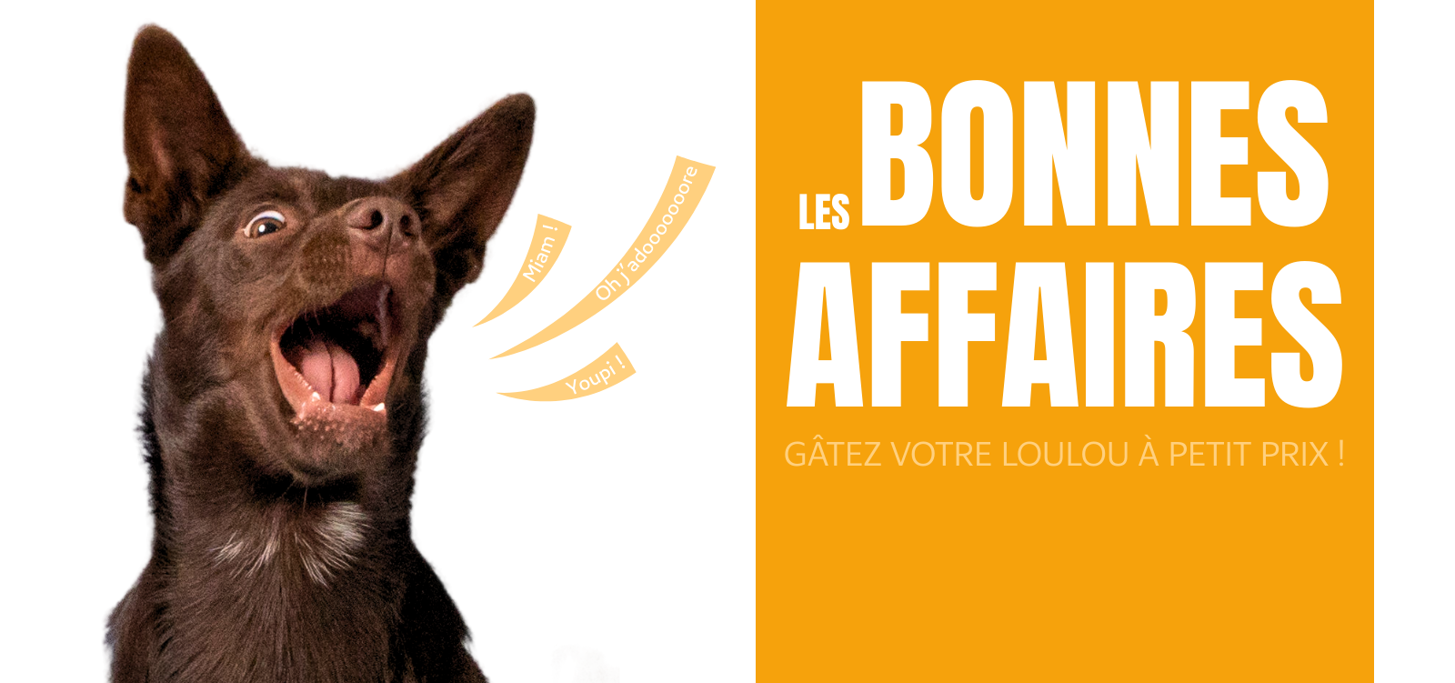 sitebonnesaffaires